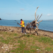 Marley a bâti une oeuvre en bois flotté sur une presqu'île déserte, le sillon des Anglais ! 