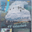 BTj Phoques Otaries
